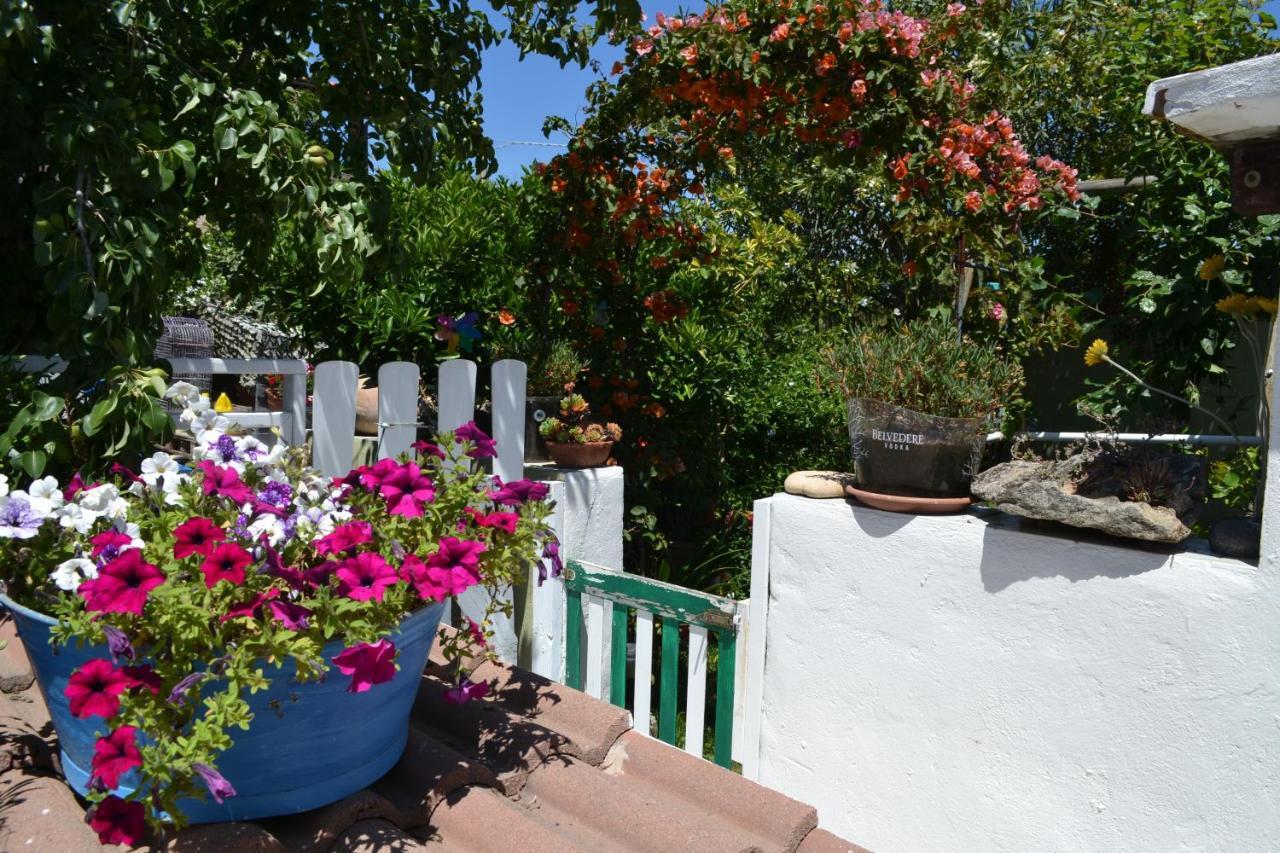 Casa vacanze Bilocale Al Mare Olbia